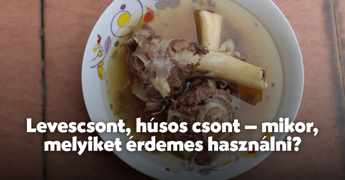 Levescsont, húsos csont – mikor, melyiket érdemes használni?
